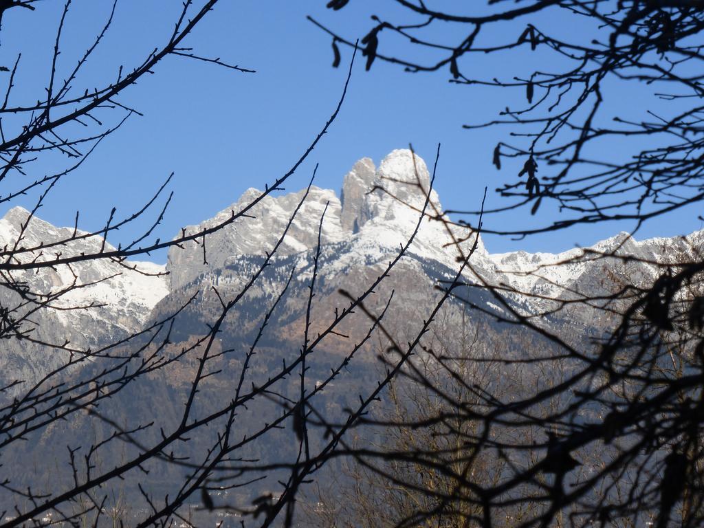 Bed and Breakfast Panorama Dolomiti Mel Zewnętrze zdjęcie