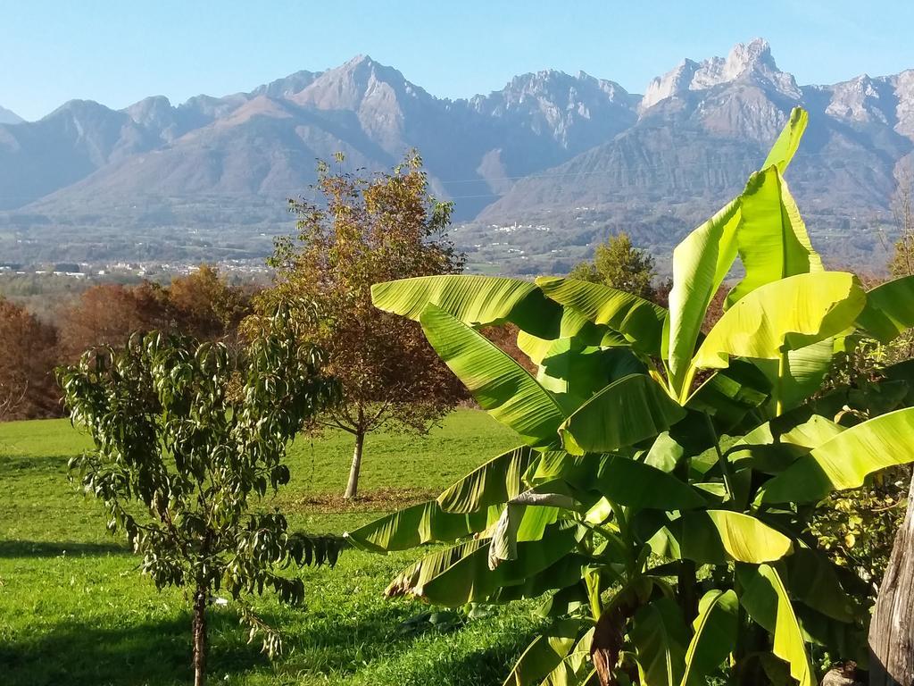 Bed and Breakfast Panorama Dolomiti Mel Zewnętrze zdjęcie